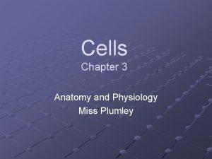 Cells Chapter 3 Anatomy and Physiology Miss Plumley