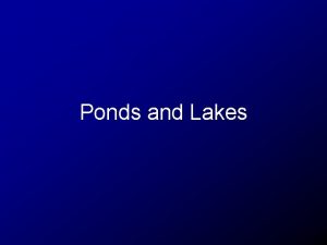 Ponds and Lakes Questions What makes riversstreams different