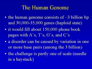 The Human Genome the human genome consists of