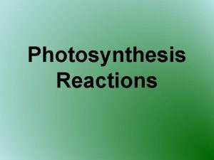 Photosynthesis Reactions 2 Parts of Photosynthesis LightDependent Reactions