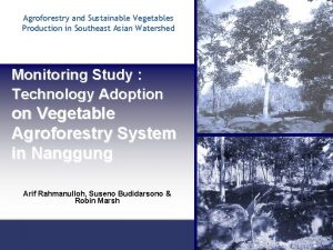 Agroforestry and Sustainable Vegetables Production in Southeast Asian