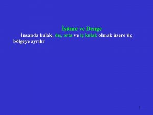 itme ve Denge nsanda kulak d orta ve