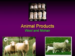 Animal Products Wool and Mohair World Wool Production
