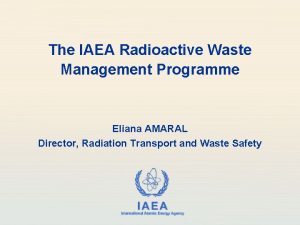 The IAEA Radioactive Waste Management Programme Eliana AMARAL