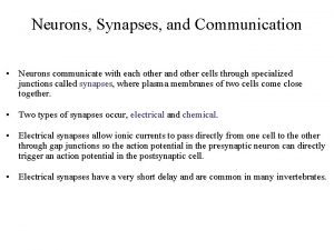 Neurons Synapses and Communication Neurons communicate with each