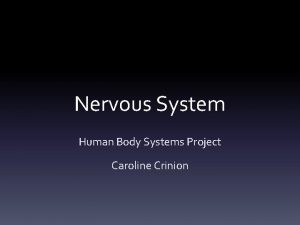 Nervous System Human Body Systems Project Caroline Crinion