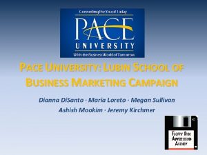 PACE UNIVERSITY LUBIN SCHOOL OF BUSINESS MARKETING CAMPAIGN