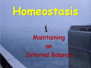 Homeostasis Maintaining an Internal Balance Homeostasis The property