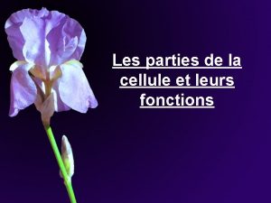 Les parties de la cellule et leurs fonctions