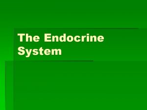 The Endocrine System Think Pair Share How does