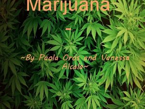 Marijuana By Paola Oros and Vanessa Alcala Description