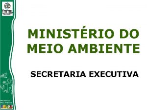 MINISTRIO DO MEIO AMBIENTE SECRETARIA EXECUTIVA Constituio Lei