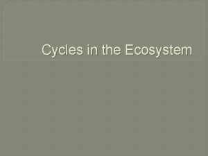 Cycles in the Ecosystem Energy Flow Through the
