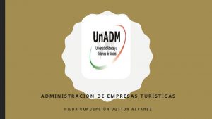 ADMINISTRACIN DE EMPRESAS TURSTICAS HILDA CONCEPCIN DOTTOR ALVAREZ