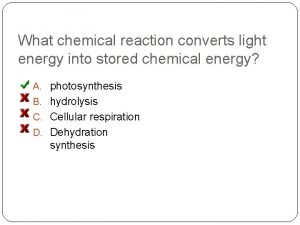 What chemical reaction converts light energy into stored