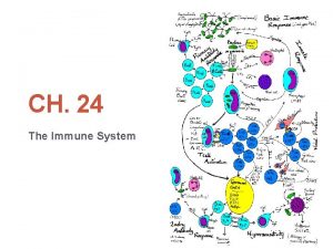 CH 24 The Immune System The immune systems