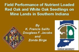 Field Performance of Nutrient Loaded Red Oak and