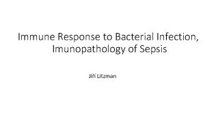 Immune Response to Bacterial Infection Imunopathology of Sepsis