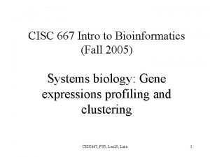 CISC 667 Intro to Bioinformatics Fall 2005 Systems