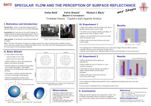 SA 73 SPECULAR FLOW AND THE PERCEPTION OF