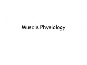 Muscle Physiology Connective Tissue Components Muscle cell muscle