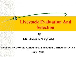 Livestock Evaluation And Selection By Mr Josiah Mayfield