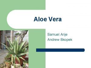 Aloe Vera Samuel Arije Andrew Skopek Taxonomy Kingdom