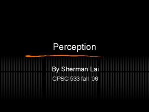 Perception By Sherman Lai CPSC 533 fall 06