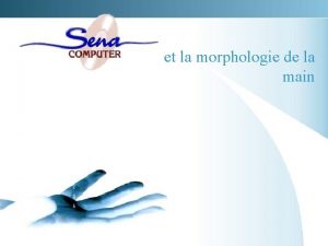 et la morphologie de la main Morphologie de