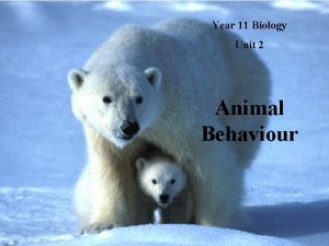 Year 11 Biology Unit 2 Animal Behaviour Behaviours