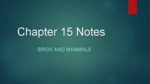 Chapter 15 Notes BIRDS AND MAMMALS Bird Characteristics