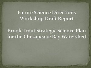 Future Science Directions Workshop Draft Report Brook Trout