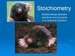 Stoichiometry Relationships between reactants and products in a