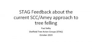 STAG Feedback about the current SCCAmey approach to