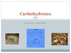 Carbohydrates EQUINE NUTRITION Carbohydrates Principles sources of energy