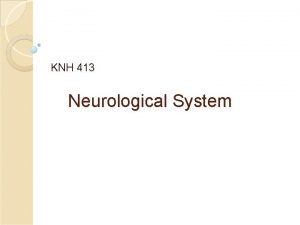 KNH 413 Neurological System Nervous System Central nervous