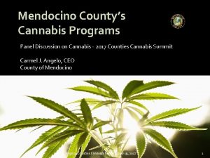 Mendocino Countys Cannabis Programs Panel Discussion on Cannabis