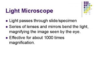 Light Microscope l l l Light passes through