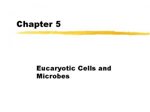 Chapter 5 Eucaryotic Cells and Microbes I Origin