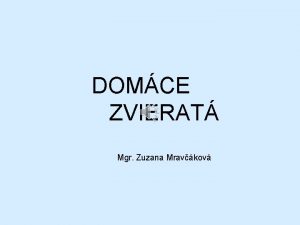 DOMCE ZVIERAT Mgr Zuzana Mravkov Domce zvierat Maka