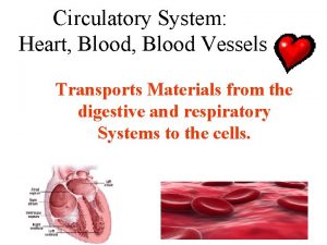 Circulatory System Heart Blood Vessels Transports Materials from