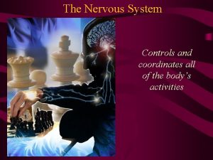 The Nervous System Controls and coordinates all of