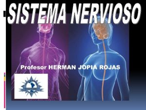 Tejido Nervioso Neuronas a Piramidales o de proyeccin