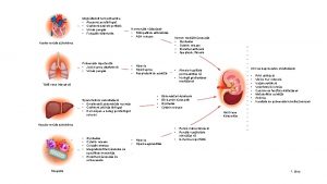 Megvltozott hemodinamika Alacsony perctrfogat Cskkent szveti perfzi Vns