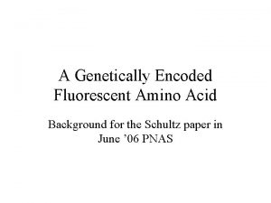 A Genetically Encoded Fluorescent Amino Acid Background for