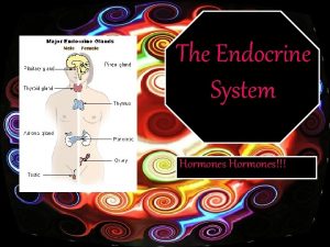 The Endocrine System Hormones Even though the endocrine