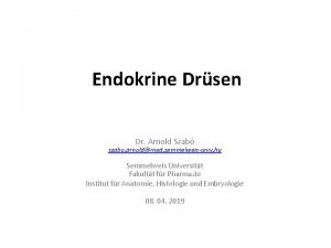 Endokrine Drsen Dr Arnold Szab szabo arnoldmed semmelweisuniv