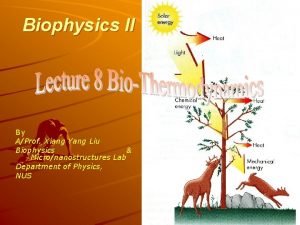 Biophysics II By AProf Xiang Yang Liu Biophysics