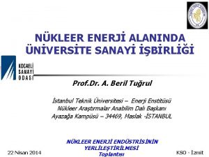 NKLEER ENERJ ALANINDA NVERSTE SANAY BRL Prof Dr
