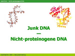 Junk DNA Nichtproteinogene DNA Josef Riedl 06 2004